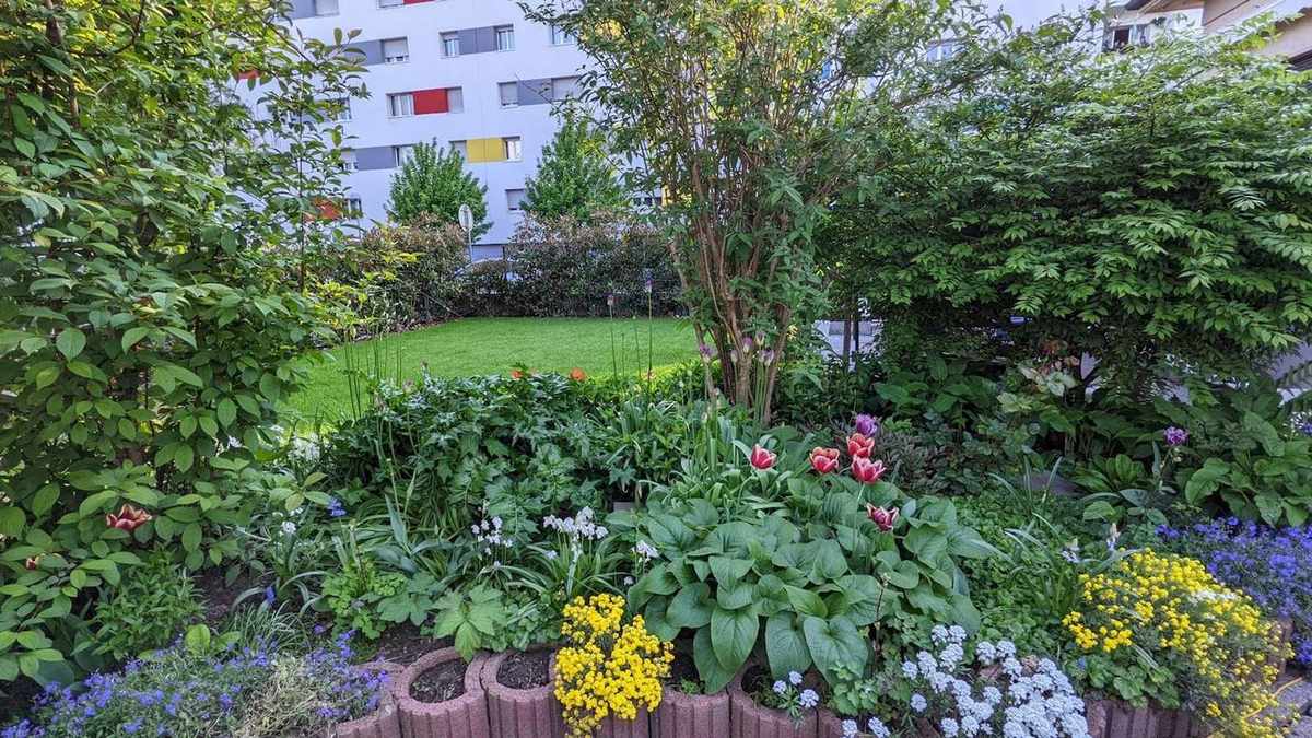 Staudenbepflanzung Kleingarten